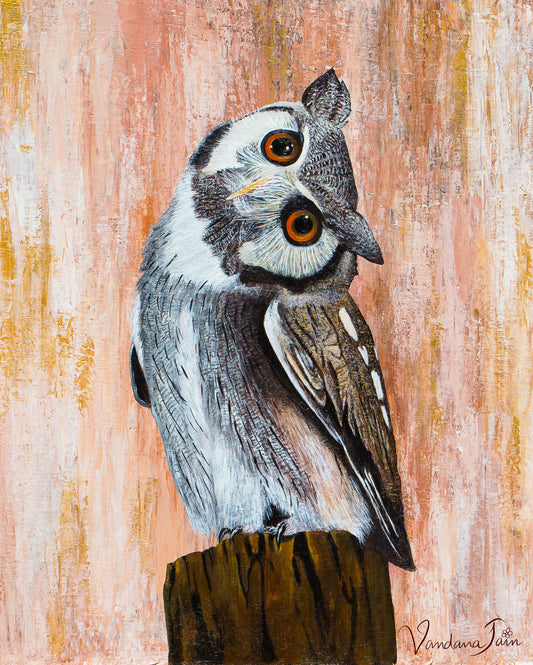 Magnificent Uluka Fine Art Print