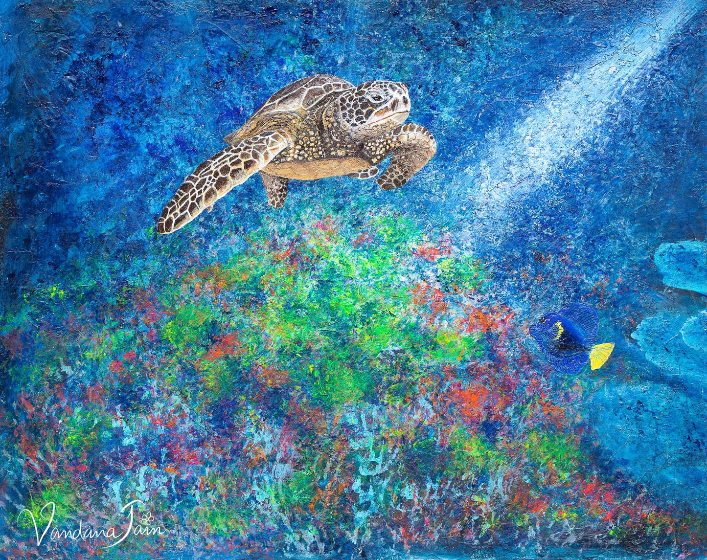 Visit the Ocean Garden